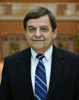 Prof. Dr. Baranyi Lszl