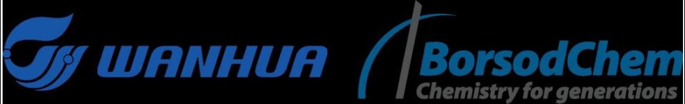 BC_Wanhua_logo.png
